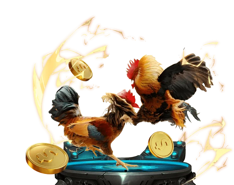 Tin tức khuyến mãi đá gà Thomo độc quyền